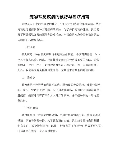 宠物常见疾病的预防与治疗指南