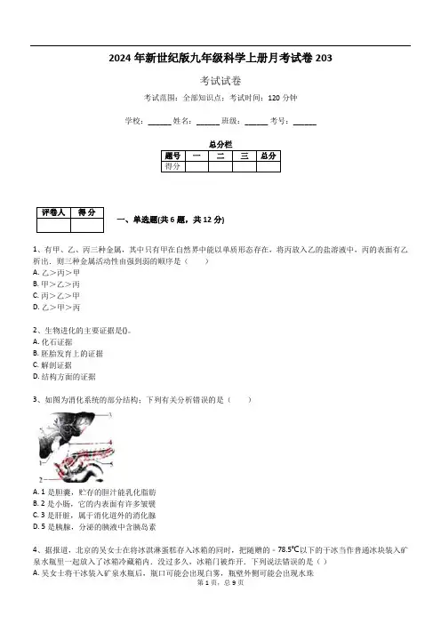 2024年新世纪版九年级科学上册月考试卷203