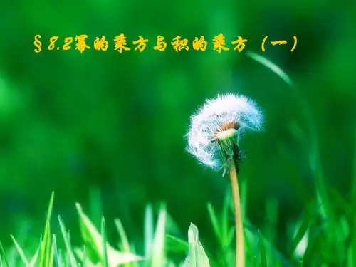 8.2幂的乘方和积的乘方(1)