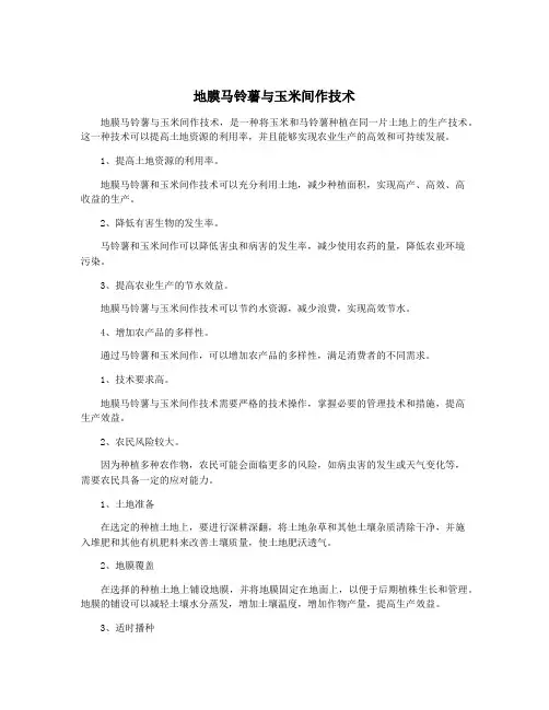 地膜马铃薯与玉米间作技术