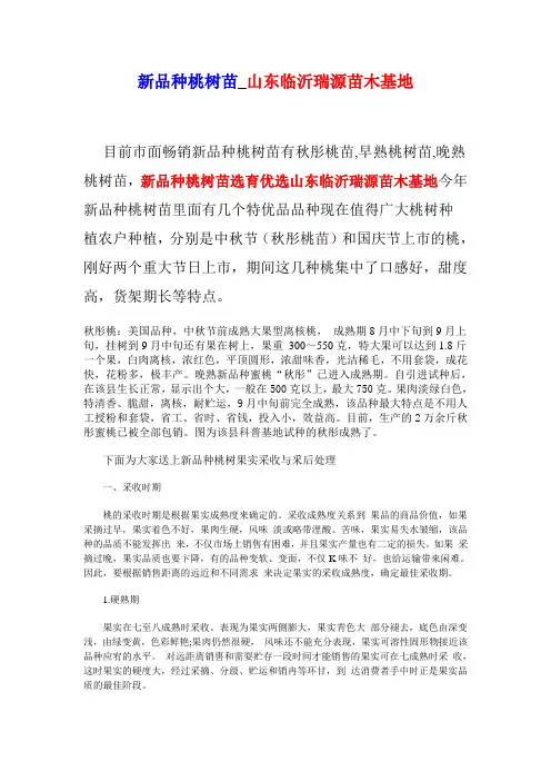 新品种桃树苗