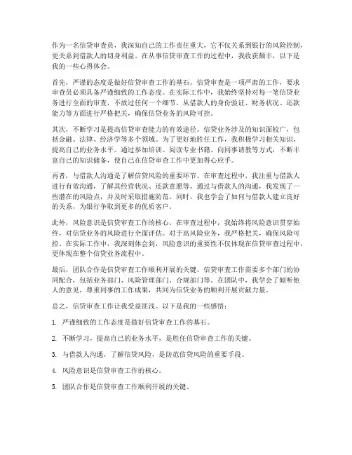 信贷审查工作心得体会