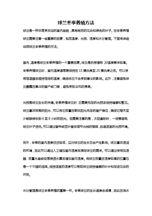 球兰冬季养殖方法
