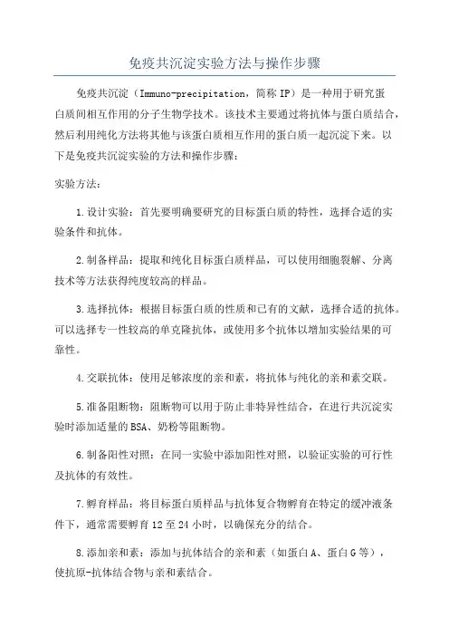 免疫共沉淀实验方法与操作步骤