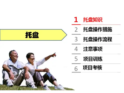 托盘优质获奖课件