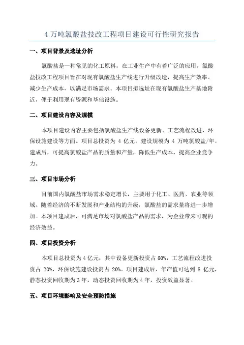4万吨氯酸盐技改工程项目建设可行性研究报告