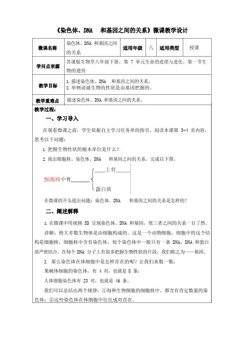 八年级下册生物教学设计：染色体、DNA和基因之间的关系