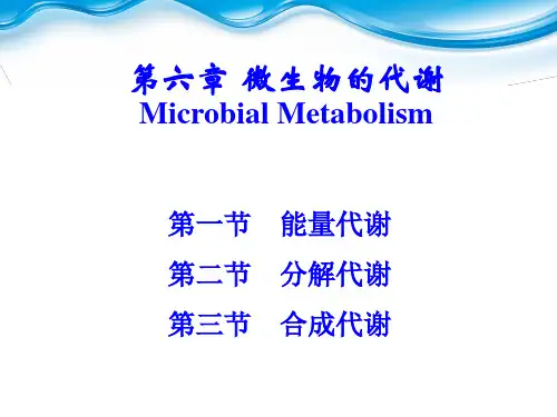 《微生物学》第6章 微生物的新陈代谢