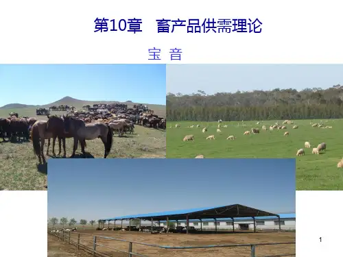 畜牧业经济管理PPT课件