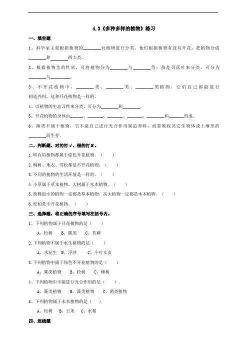 六年级上册科学试题 - 4.3《多种多样的植物》  教科版 含答案 (1)
