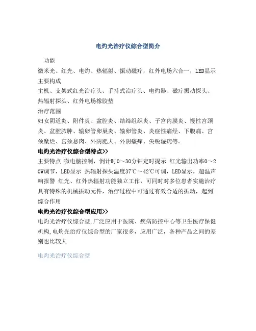 电灼光治疗仪综合型简介