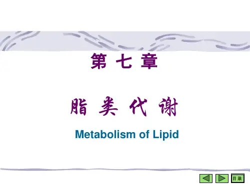 脂类代谢——生物化学 