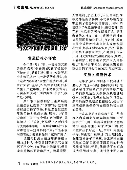 与众不同的溧阳白茶