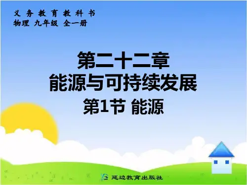 新人教版九年级物理全册 能源课件