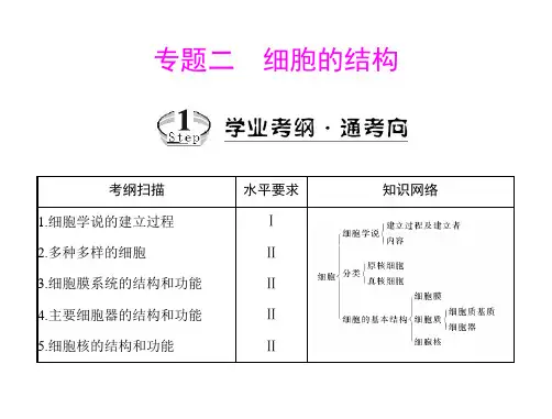 专题二 考点1 细胞学说的建立过程