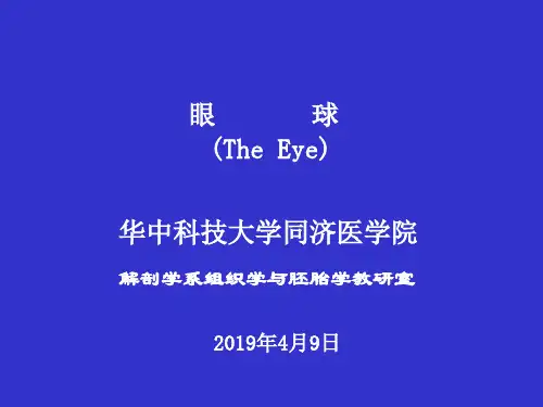 第9章眼和耳的病理共48页