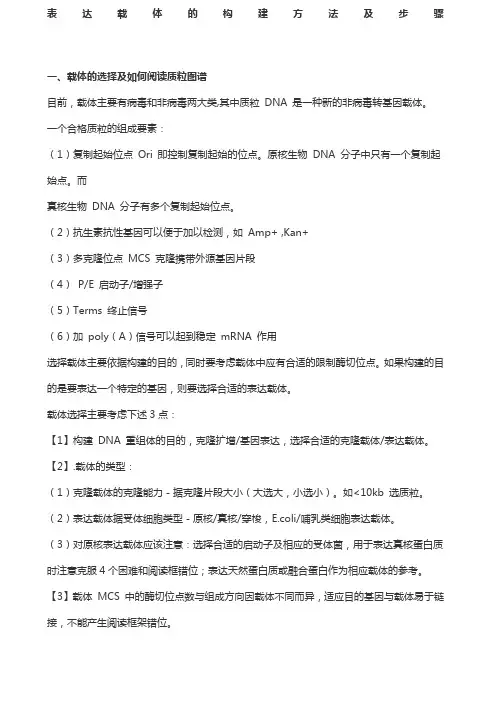 表达载体的构建方法及步骤