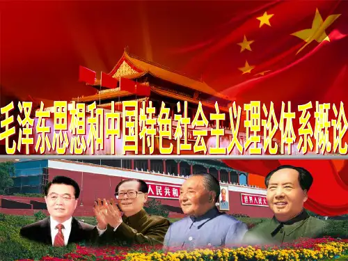 中特理论说课课件