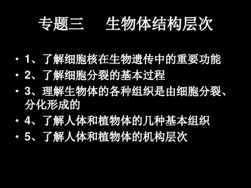 初中生物中考复习专题三 生物体结构层次