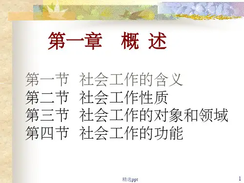 《社会工作概论概述》PPT课件