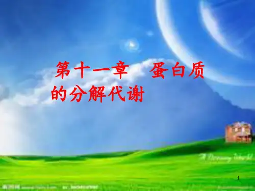 (精选)蛋白质的分解代谢