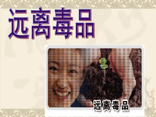 健康人生绿色无毒ppt课件