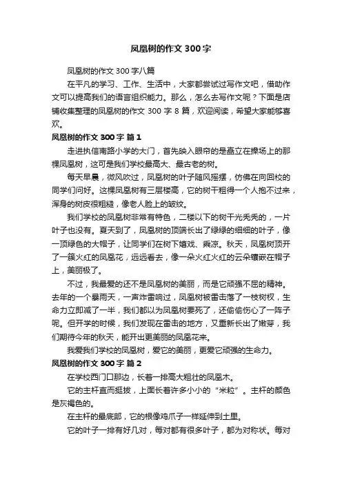 凤凰树的作文300字