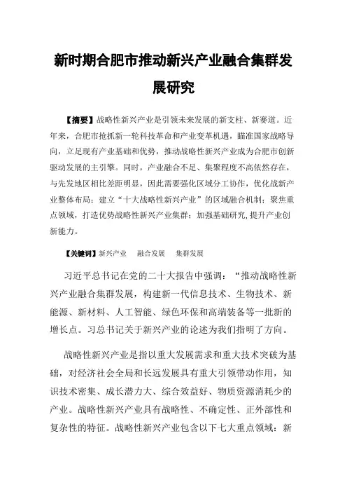 新时期合肥市推动新兴产业融合集群发展研究