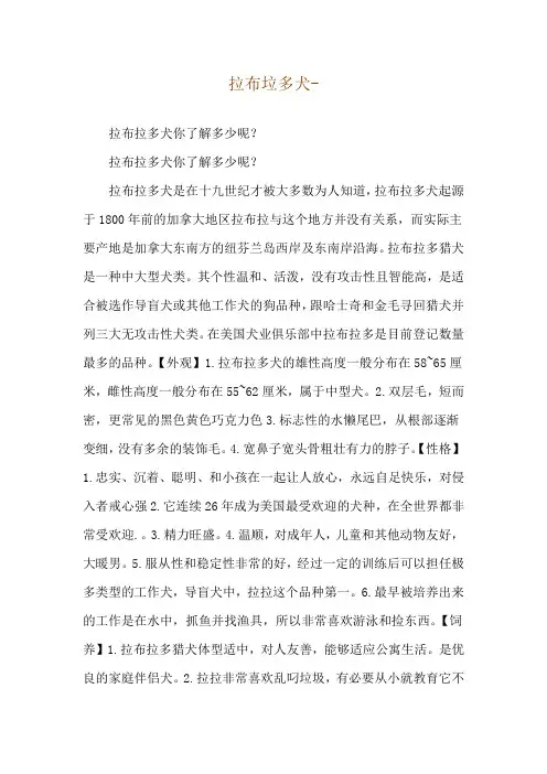 拉布垃多犬--拉布拉多犬你了解多少呢？