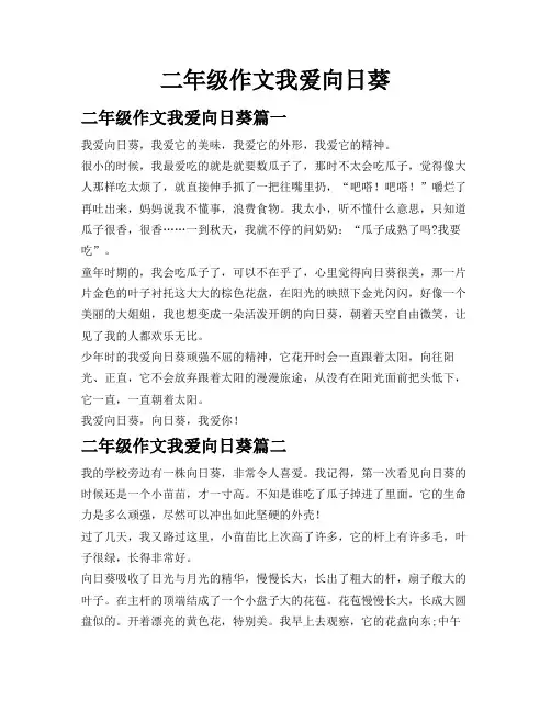 二年级作文我爱向日葵