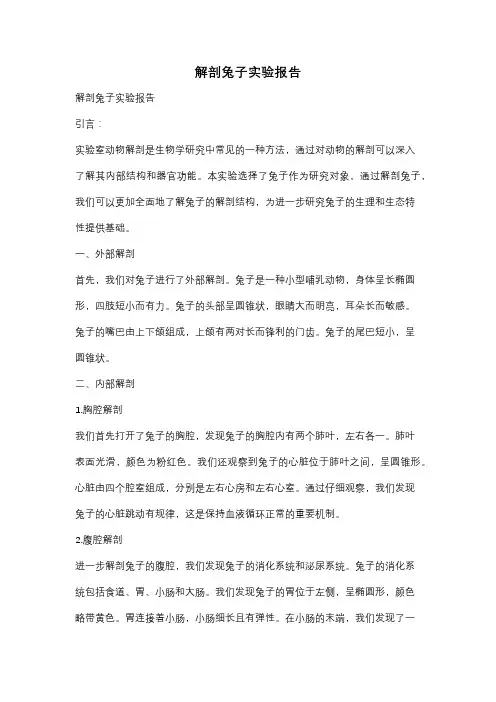 解剖兔子实验报告