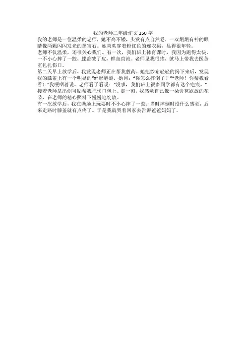 我的老师二年级作文250字
