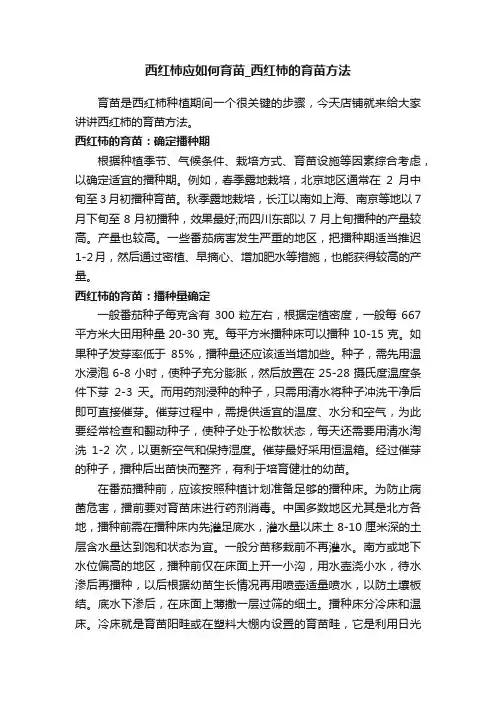 西红柿应如何育苗_西红柿的育苗方法