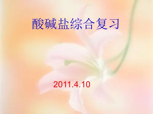 酸碱盐综合复习PPT课件