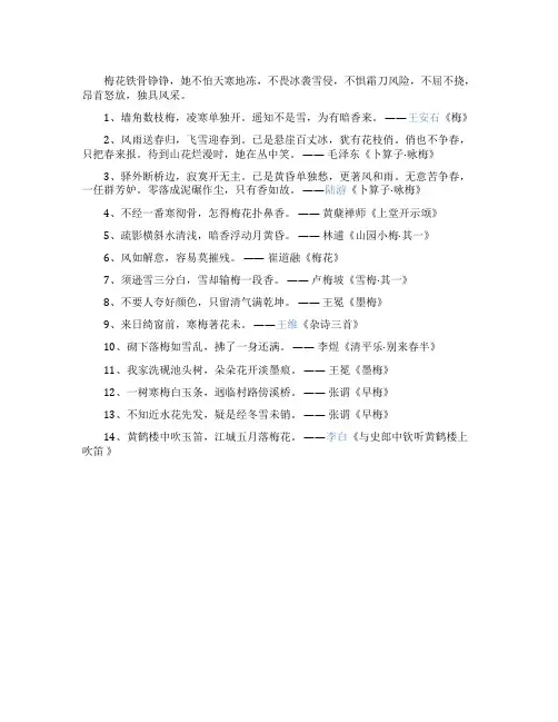 赞美梅花顽强的诗句