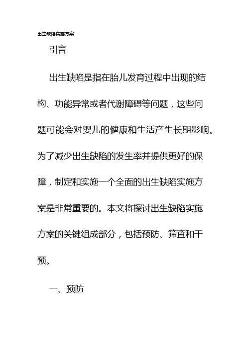 出生缺陷实施方案