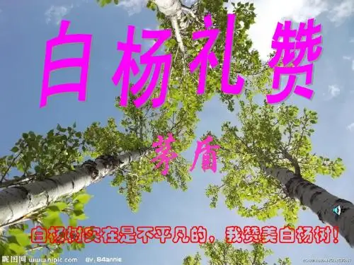 5.白杨礼赞第二课时课件