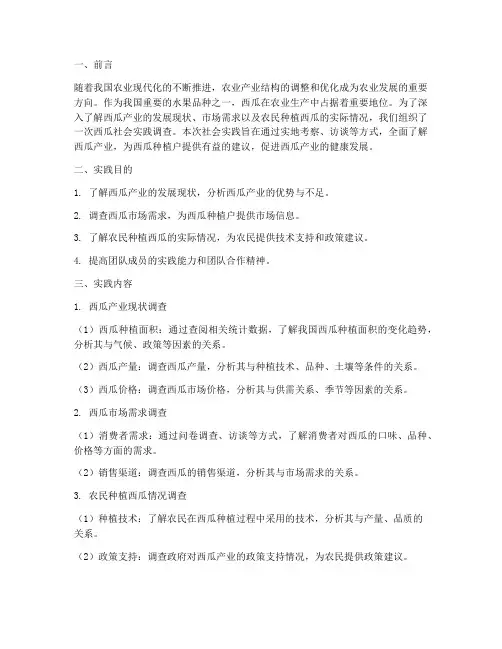 西瓜社会实践报告
