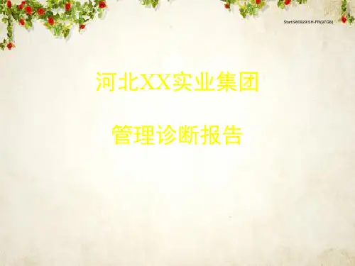 某集团管理诊断报告书(ppt 115页)
