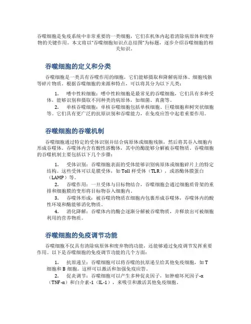 吞噬细胞知识点总结图