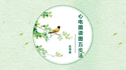 心电图读图五步法
