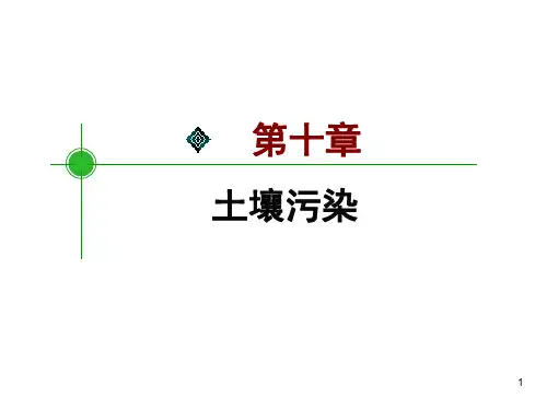 重金属污染PPT课件