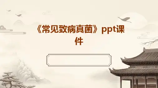 《常见致病真菌》课件