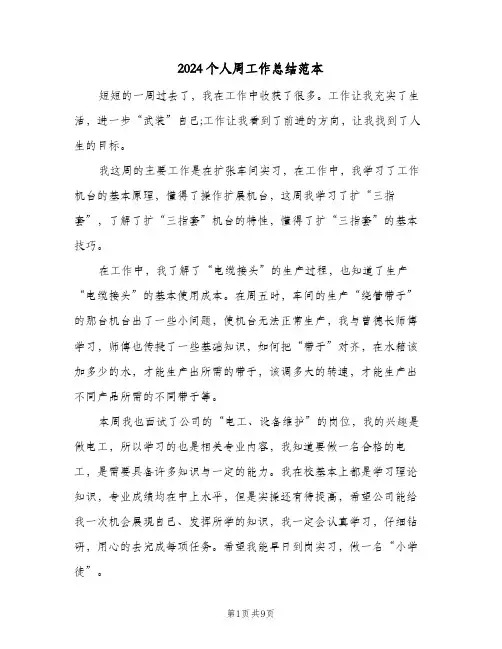 2024个人周工作总结范本（5篇）