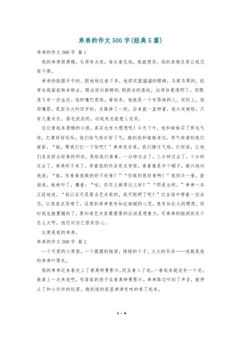 弟弟的作文500字(经典5篇)