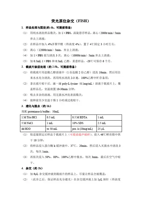 荧光原位杂交 FISH 操作方法