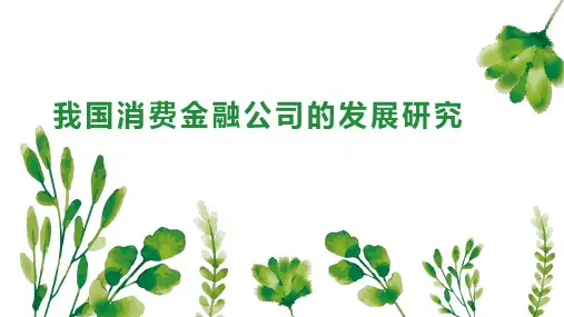 我国消费金融公司的发展研究