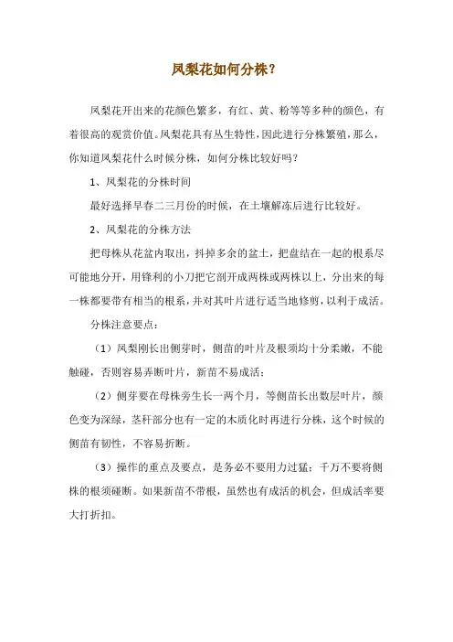 凤梨花如何分株？