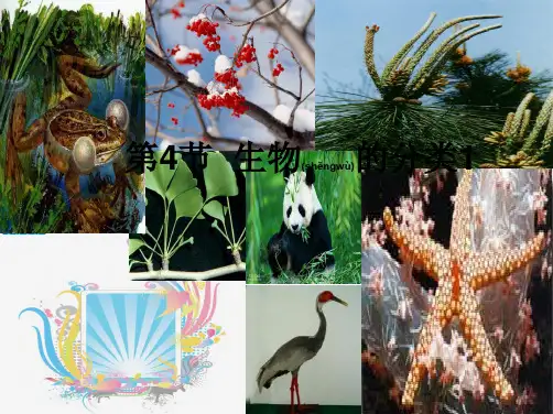 七年级科学上册2.4《生物的分类》2