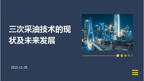 三次采油技术的现状及未来发展